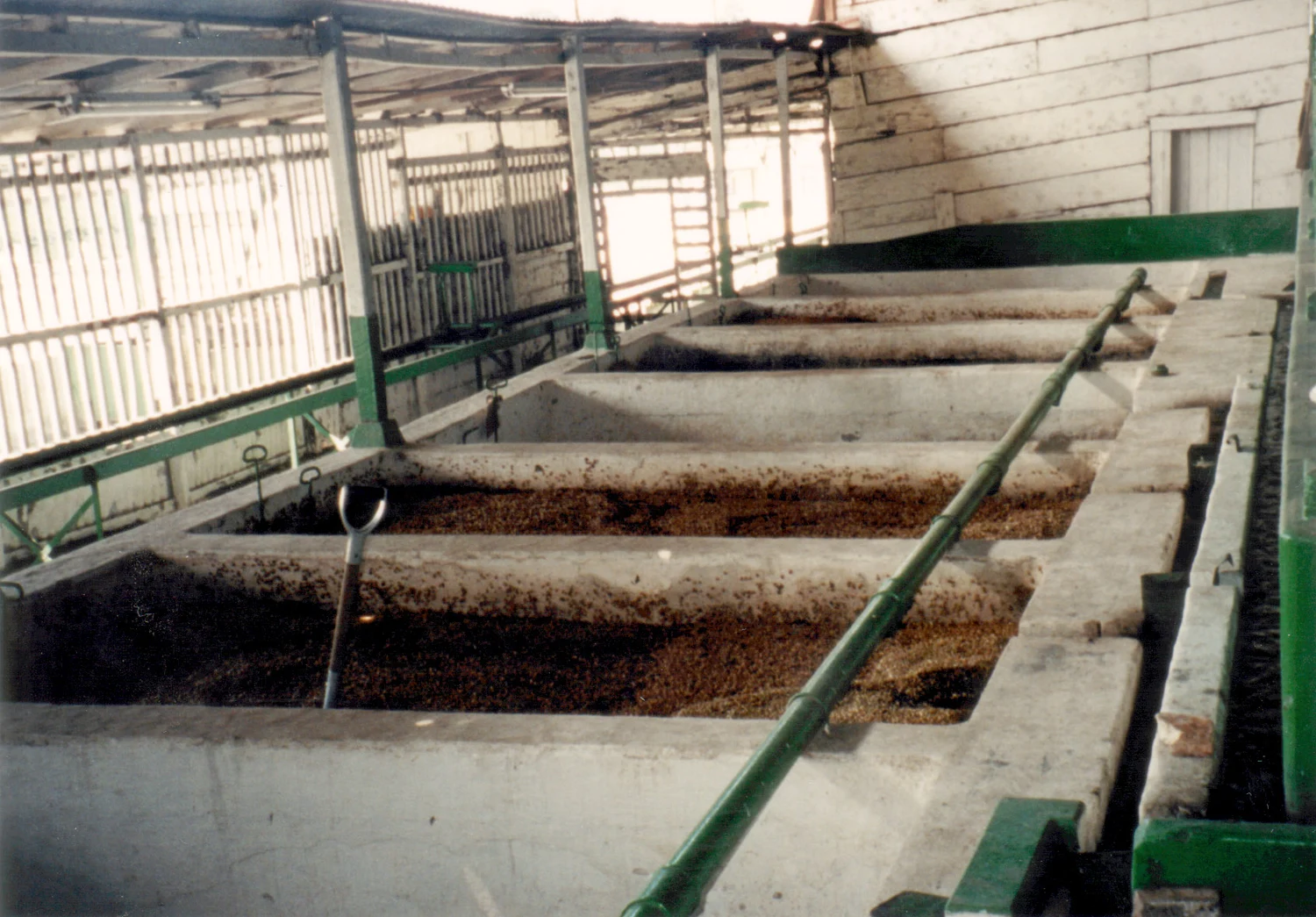 Open coffee fermentation bins at a processing facility