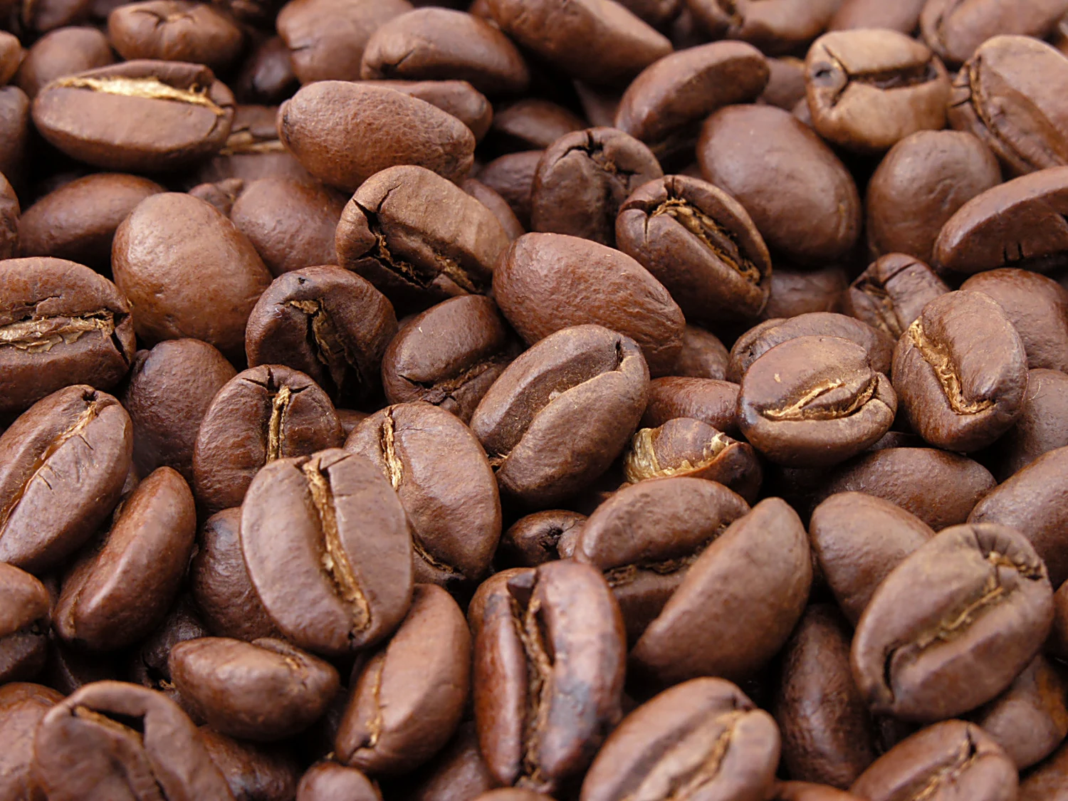 Close-up of whole roasted coffee beans