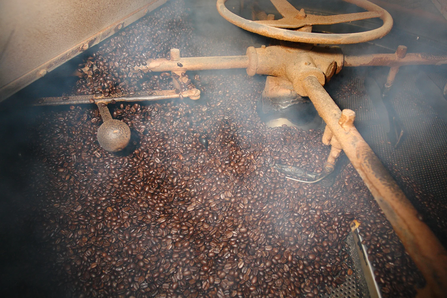 Newly roasted coffee falling into a cooling tray at a roastery